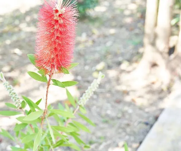 Frühstückspension La Gitana 3*