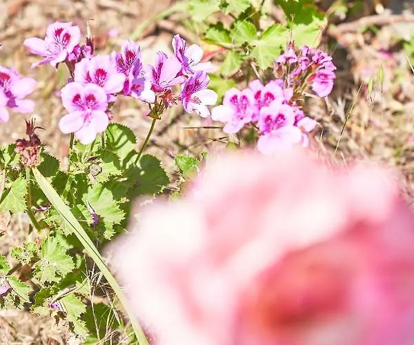 La Gitana Frühstückspension 3*